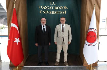 ziyaret