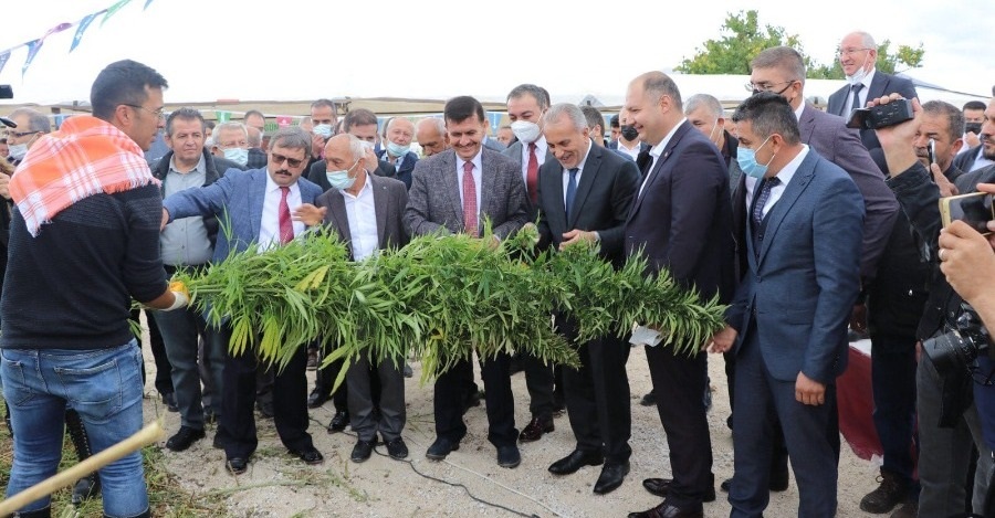 REKTÖRÜMÜZ PROF. DR. AHMET KARADAĞ SEKTÖR GÖRÜŞMELERİ KAPSAMINDA BURDUR İLİNDE KENEVİR HASADINA KATILDI