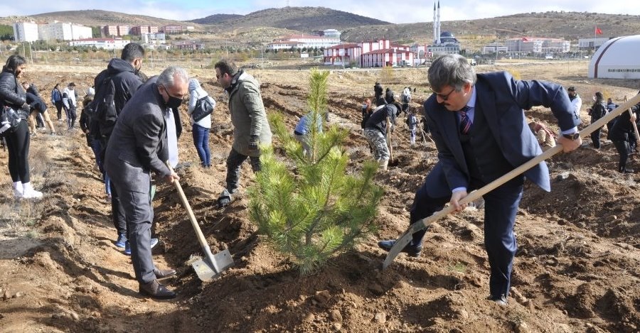 FİDANLAR TOPRAKLA BULUŞUP